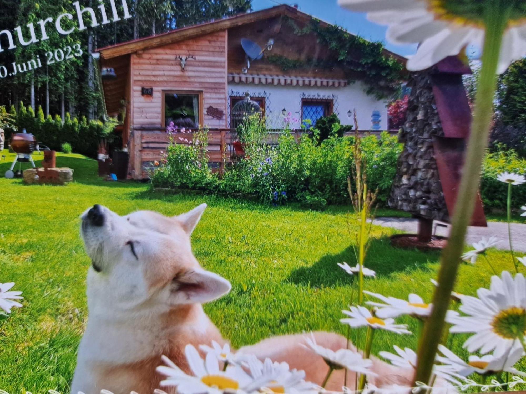 Knusperhaeuschen Maria Nikoletta Villa Witra Dış mekan fotoğraf